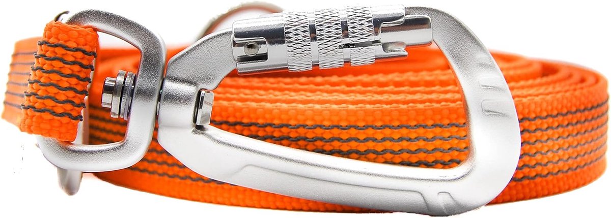 Hondenriem - Leiband hond - Dagelijks gebruik - Antislip grip - 3 meter - Oranje