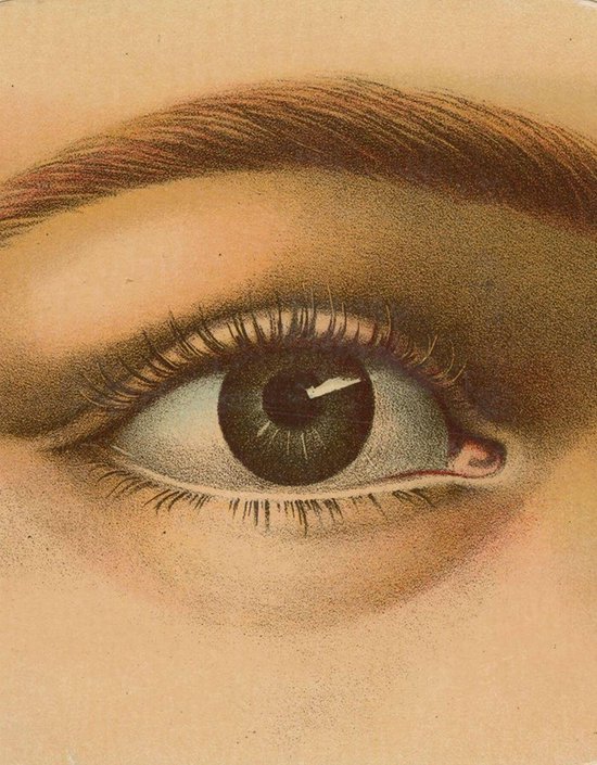 John Derian Picture Book - cover