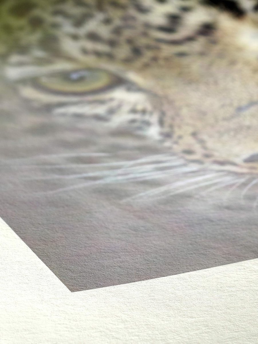 Fotopapier FineArt Bamboe 290 g/m2 Wit A3 (25 Vel)