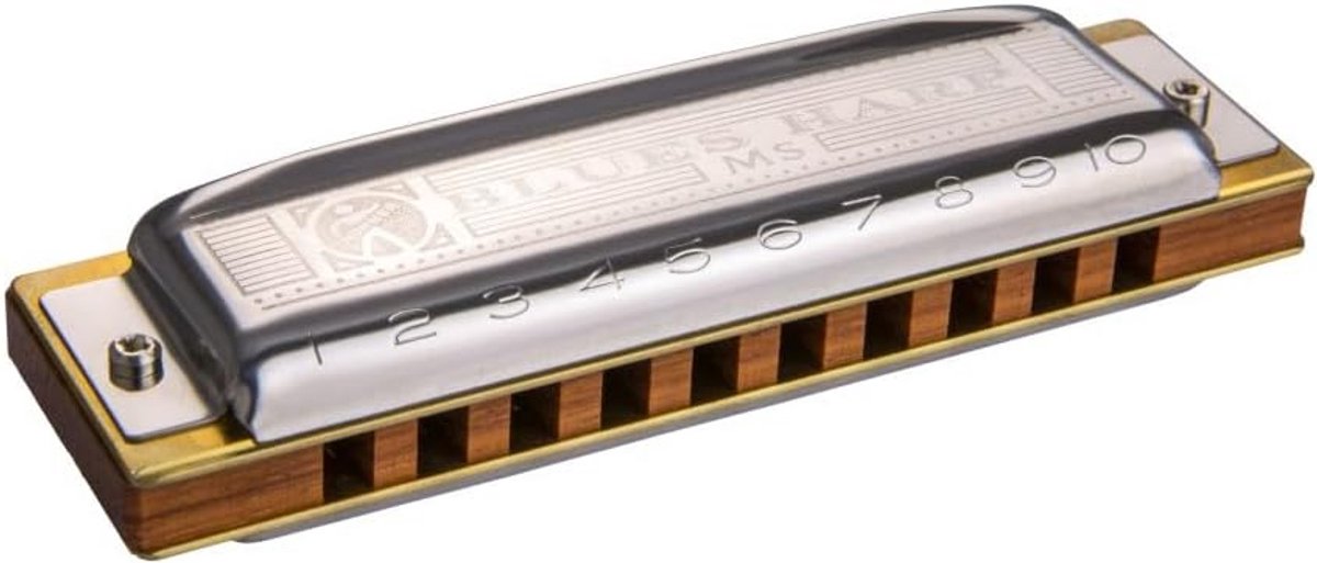 Blues Mondharmonica in E-majeur met Houten Lichaam en RVS Deksel