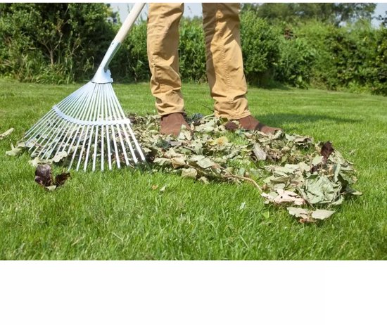 Hendrik Jan Verzinkte bladhark 440 mm met 22 tanden, essenhouten steel 150 cm en FSC-keurmerk van Merkloos	 — afbeelding 2