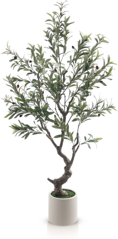 Meisterhome Kunst Olijfboom 160 cm – Grande Plante Artificielle Méditerranéenne – Arbre Artificiel Réaliste avec Olives - L'Pot Inclus – Sans Entretien pour Salon & Bureau
