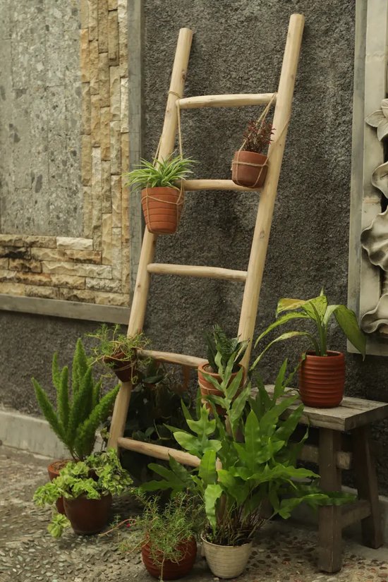 Teakea - Houten Decoratie Ladder Wit Geolied 50x5x150 cm - Decoratieve Handdoekladder