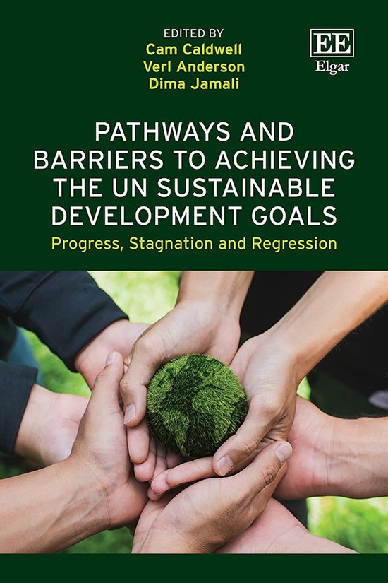 Pathways and Barriers to Achieving the UN Sustainable Development Goals ...