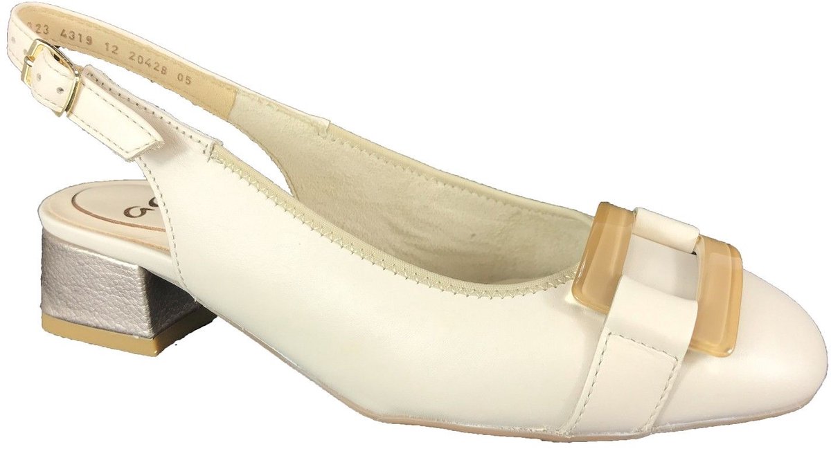 ARA PUMP - 12-20428-05