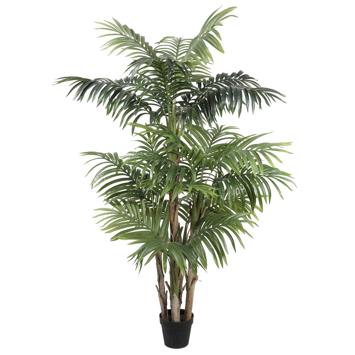 AVH-Collectie Kunstplant paradise acrea palm 190 cm hoog Groen