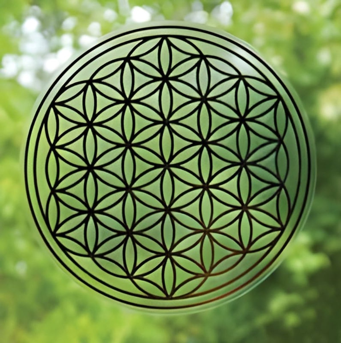 Levensbloem sticker 3 cm (24 stuks)