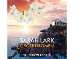 Omslag van Grote dromen