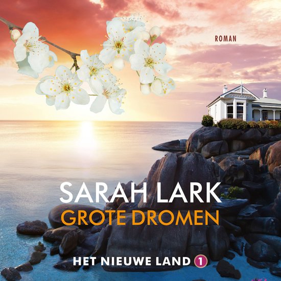 Grote dromen - cover