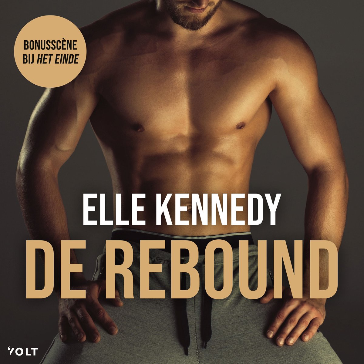 Omslag van De rebound