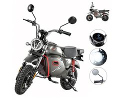 iScooter Y18 elektrische scooter - elektrische motorfiets voor volwassenen - 15‘’- 2000W - 4 versnellingen - actieradius van 90 km - 150 kg - opbergvak aan de voorzijde - bagagedrager aan de achterzijde - geschikt voor alle terreinen