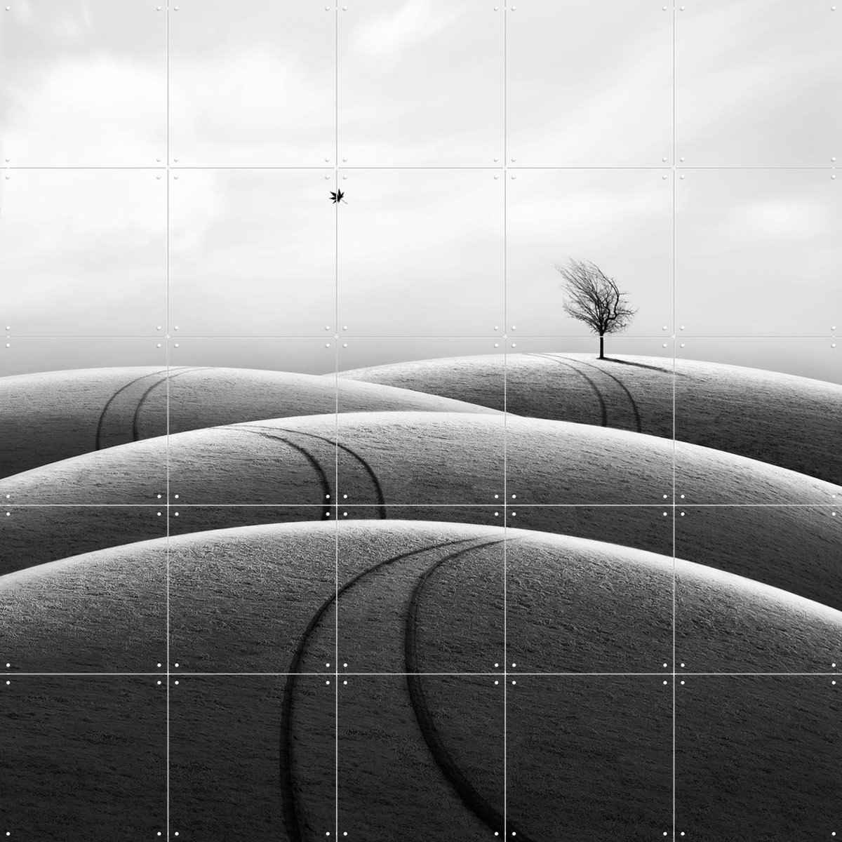 IXXI Far away, Hadi Malijani & Various - 100 x 100 cm - Gratis ophangtool - Grote wanddecoratie en posters - Minimalisme, Fotografie, Woonkamer