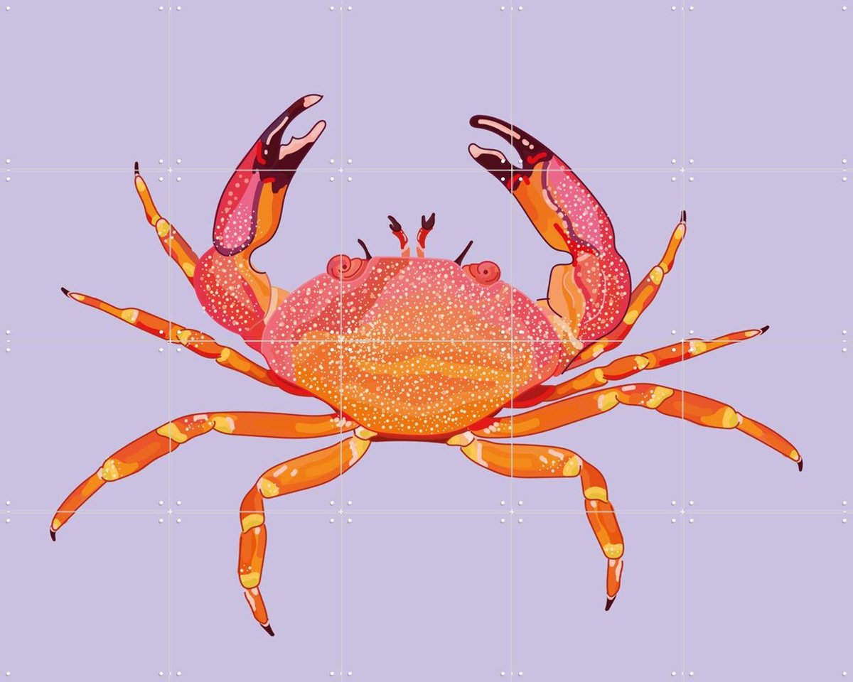 IXXI Sao, Lotte Snoek - 100 x 80 cm - Gratis ophangtool - Grote wanddecoratie en posters - Kleurrijk, Grafisch Ontwerp, Digitale Kunst, Illustraties