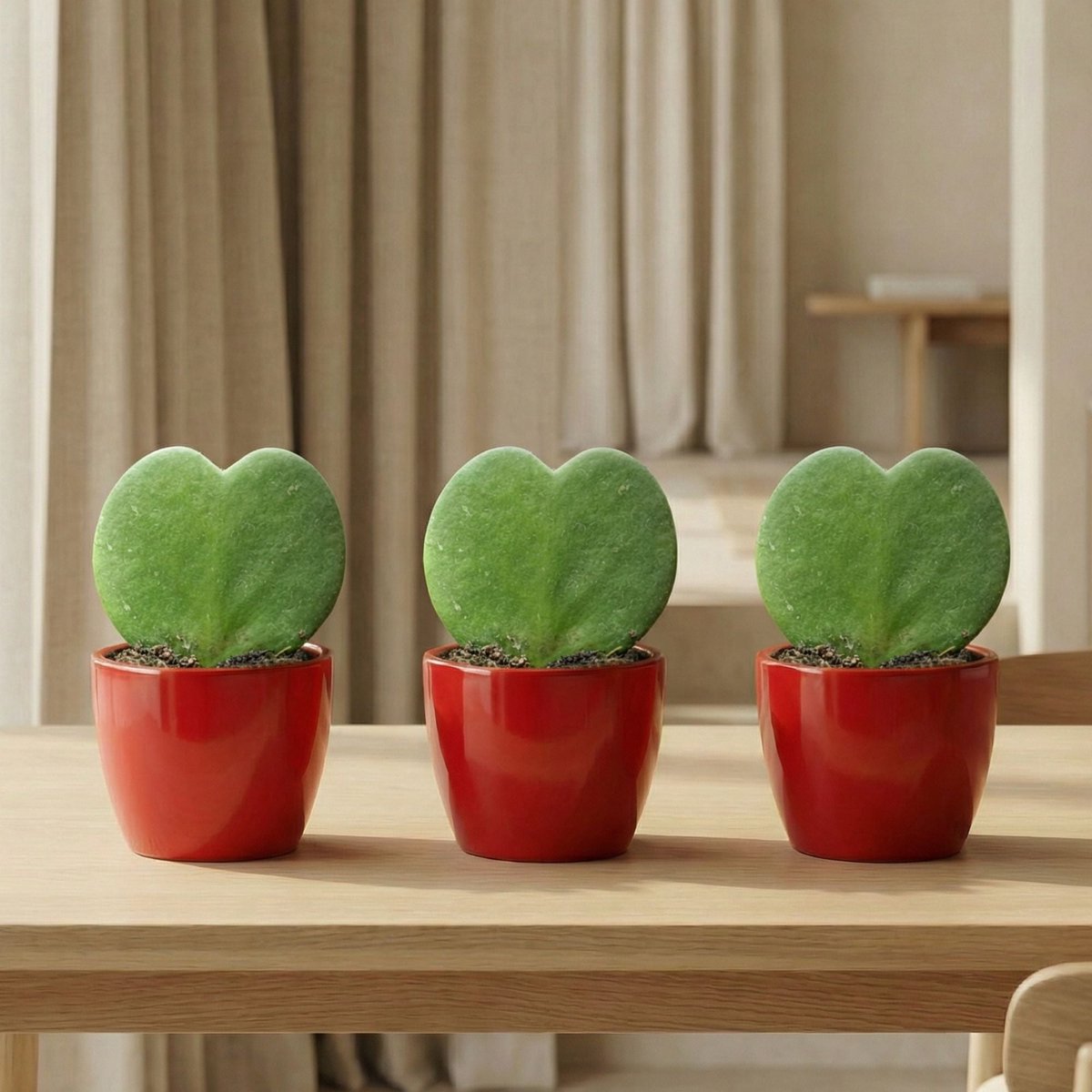 Sweetheart Plant Set - Groene Mini Gift - Pot & Plant Set - Rood of Roze