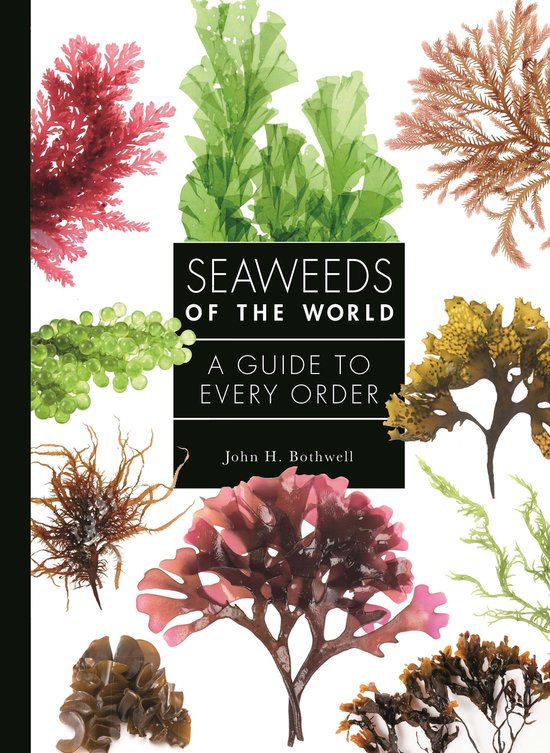 A Guide to Every Family- Seaweeds of the World