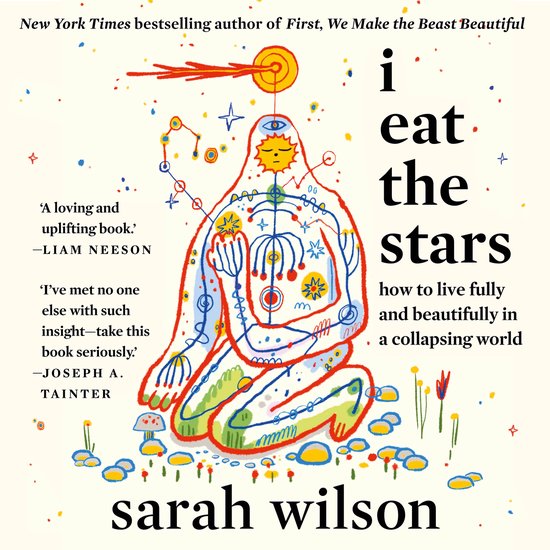 I Eat the Stars - cover