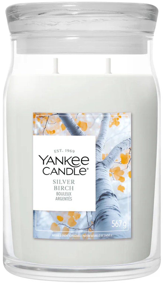 Yankee Candle - Silver Birch Large Jar - tot 80 branduren