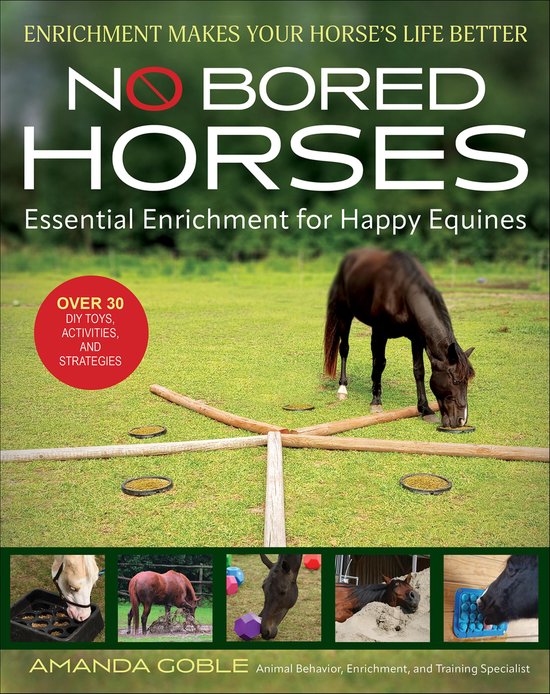 No Bored Horses - cover