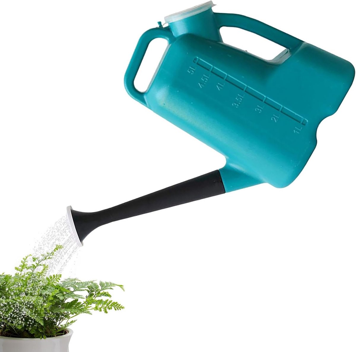 Douchesgieter 5 liter - afneembare sproeikop - polypropyleen - 22,5 x 32 cm - geschikt voor terras en tuin