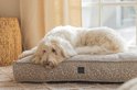 Een witte labradoodle ligt op een beige hondenmand met luipaardprint.