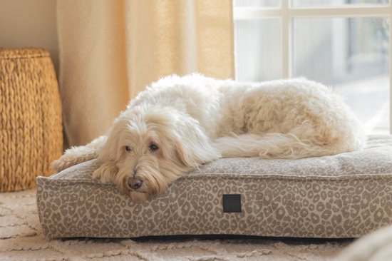 Een witte labradoodle ligt op een beige hondenmand met luipaardprint.