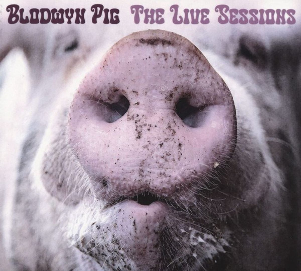 The Live Sessions