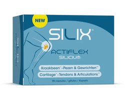 Silix Actiflex Silicium - 90 capsules