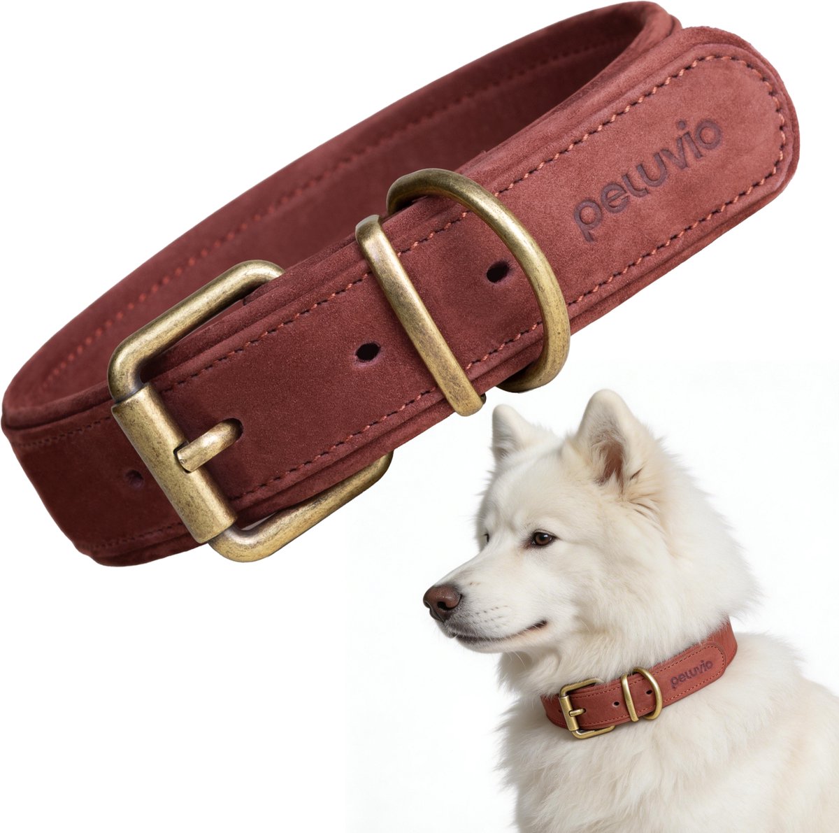 PELUVIO rexor - leren hondenhalsband - bruin - m-l 37-47 cm - 3,5 cm breed - verstelbare halsband van rundleer - koperen gesp - voor grotere middelgrote honden