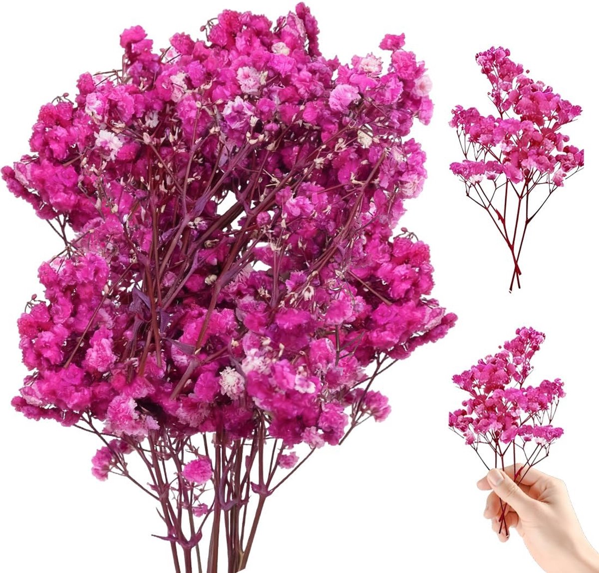 Gedroogde bloemen - Mini bloemen - Decoratie knutselen - Natuurlijke vorm behouden - 100 stuks - Wit