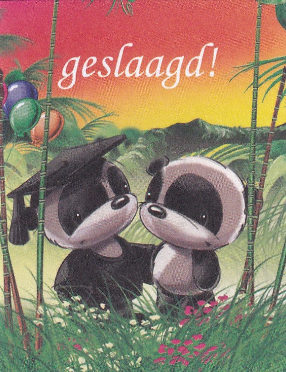 Geslaagd! - Bloemkaartjes - 25 Stuks – 5 x 6.5 cm – Minikaartjes - Bloemist – Cadeau – JK-093