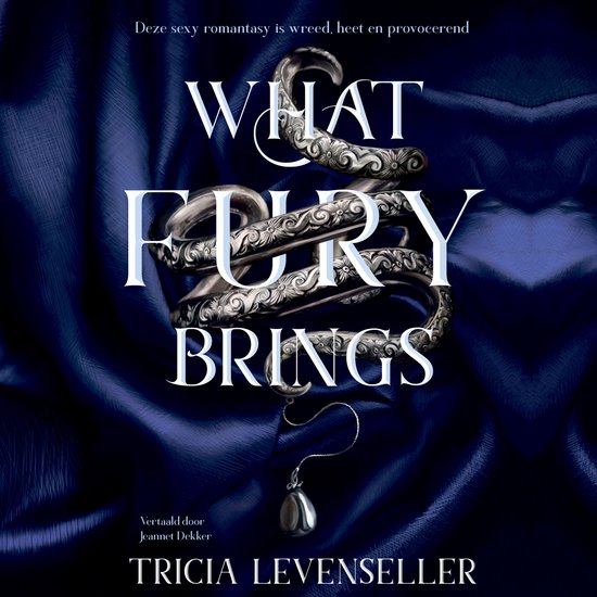 What fury brings - cover