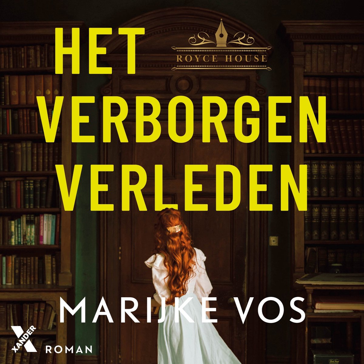 Omslag van Het verborgen verleden