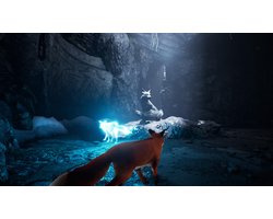 Omslag van Spirit of the North