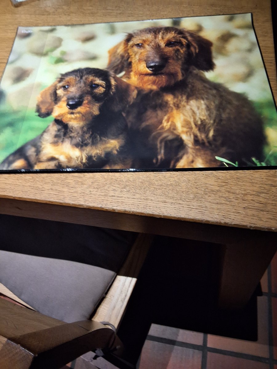 Bureauonderlegger hond 53x40cm ideaal voor om een mooie bureau op uw kamer
