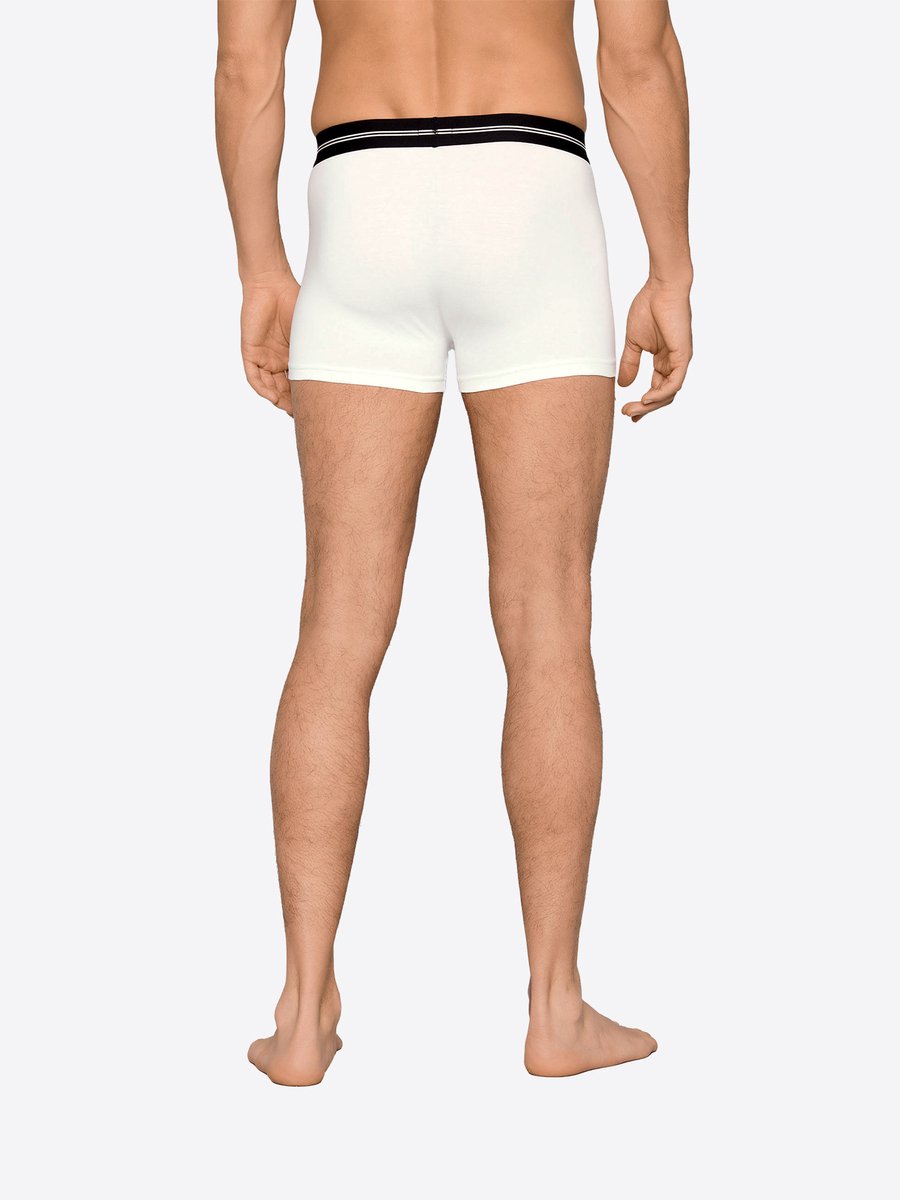 Joop! Boxer Everyday