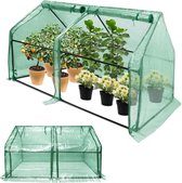 Foliekas 180x90x90cm, Mini-Tuinkas van 140g/m² HDPE-Folie, Regenbescherming Tomatenkas met Oprolbare Deur, Waterdichte Tuin Broeikas, Insectenbescherming Tomatenkas voor Planten, NAIZY