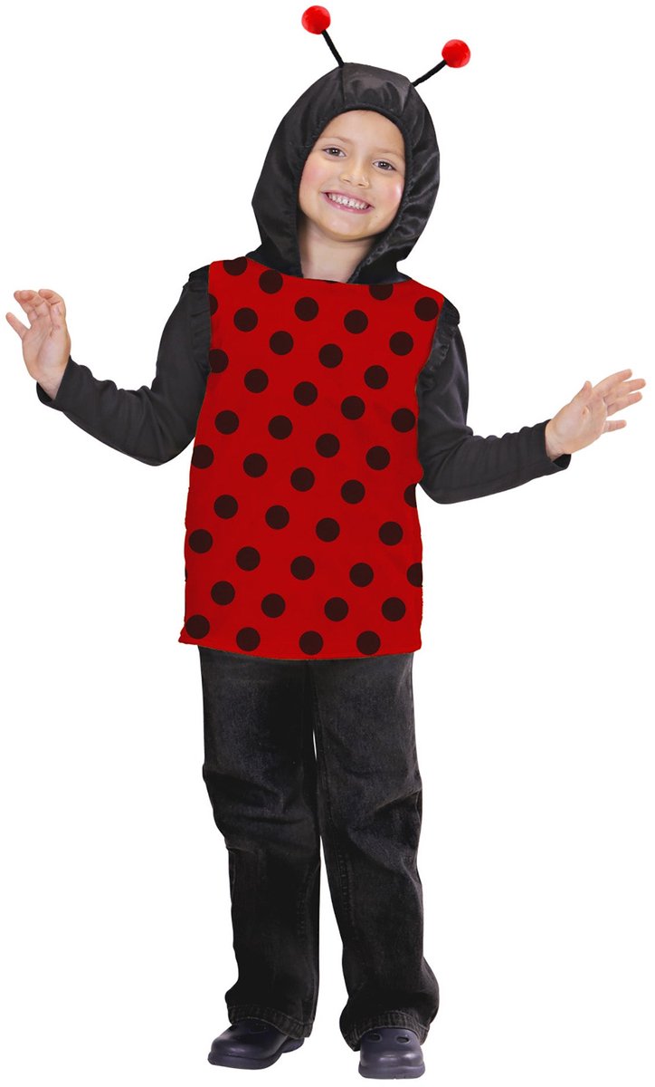 Lieveheersbeestje pak kind Romy
