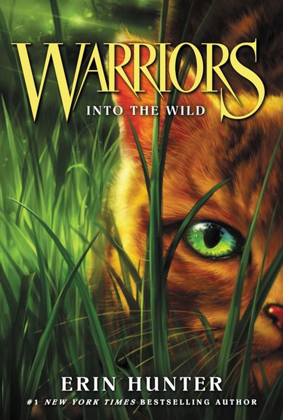 Into the Wild - cover
