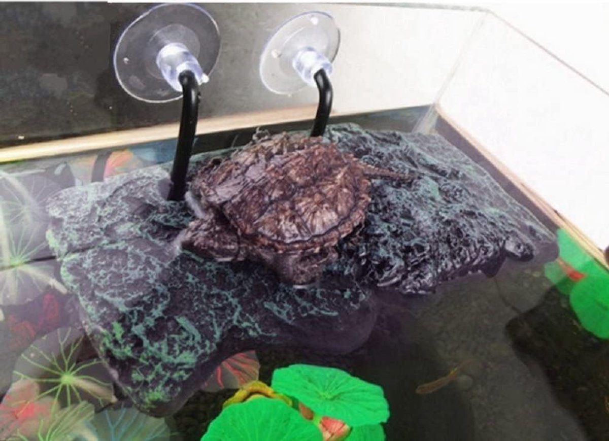 Schildpadplatform Drijvend - Koesterterras Vlotter - Rustplek Dier - Automatisch Waterniveau - 20 bij 9 cm - Groen