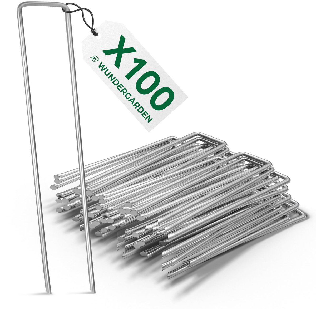 Anti-Roest Aardspijkers - Set van 100 - 150x25mm - Ø2,7mm