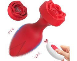 Daity Anal Plug Vibrator – Vibrerende Butt Plug met Afstandsbediening, 10 Modi – Prostaat Massager & Seksspeeltje voor Mannen, Vrouwen en Stellen