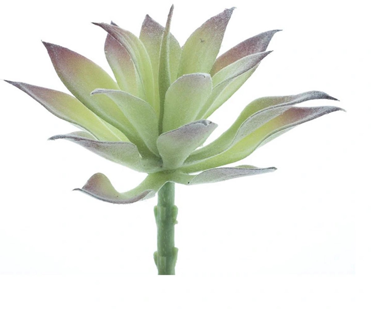 Erutan avon - Agave pick Guanita flocked green 16 cm