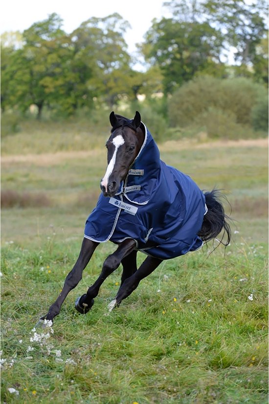 Bruin paard met donkerblauwe Bucas deken met capuchon en zilveren randen.