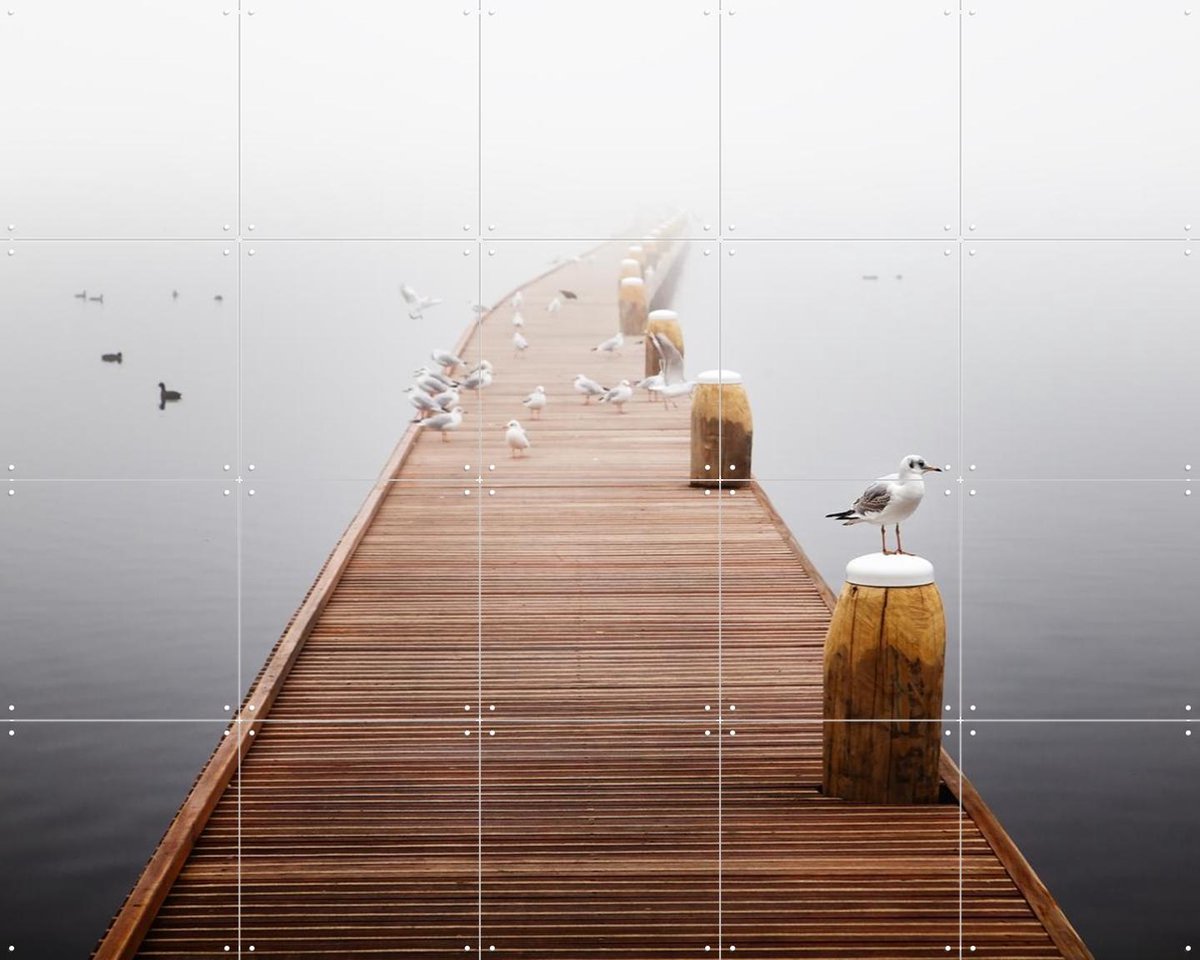 IXXI Silencell Interlude, Claire Droppert - 100 x 80 cm - Gratis ophangtool - Grote wanddecoratie en posters - Minimalisme, Naturalisme, Fotografie