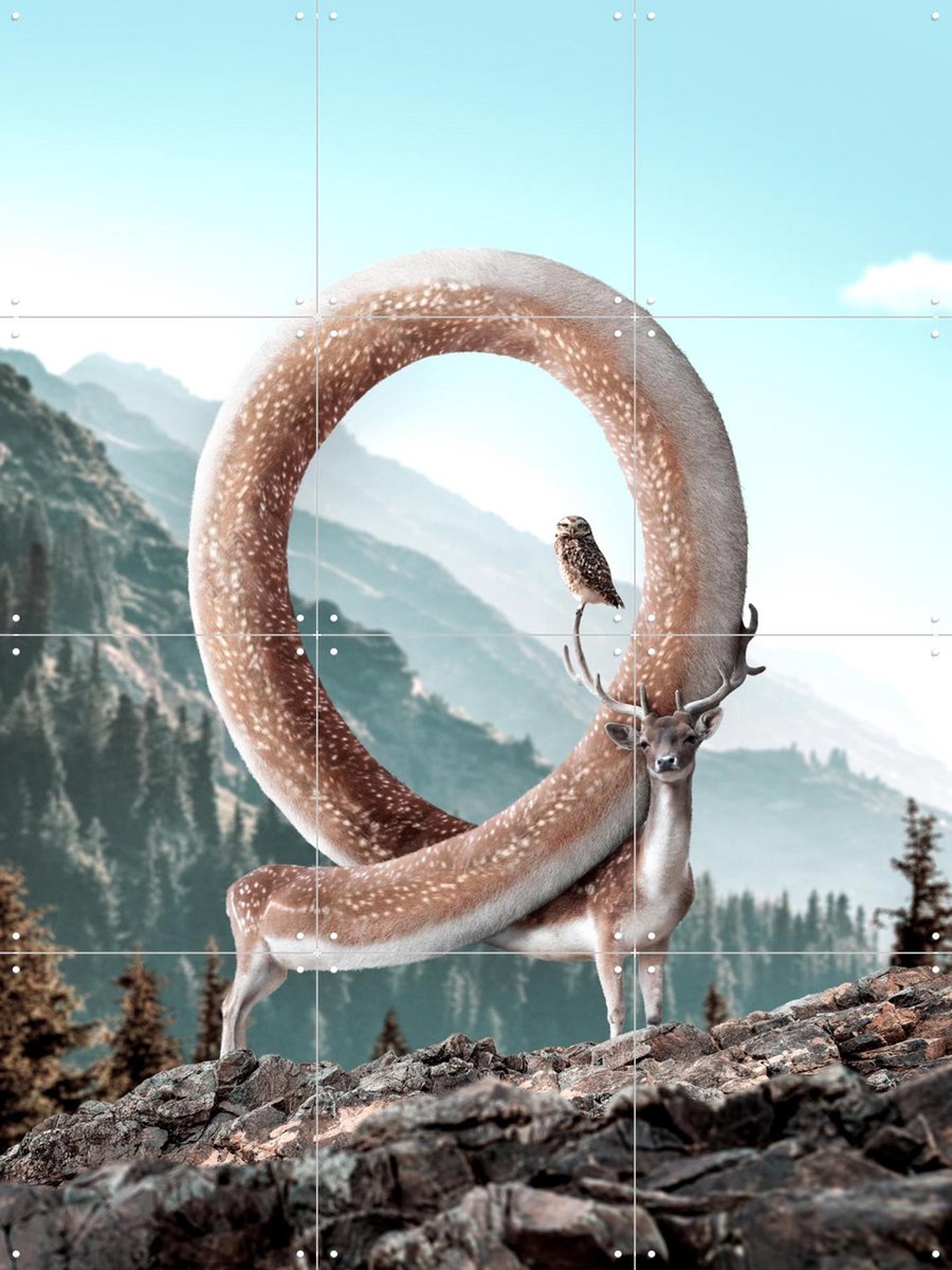 IXXI Infinideer, Julien Tabet - 60 x 80 cm - Gratis ophangtool - Grote wanddecoratie en posters - Fotografie, Speels, Natuur