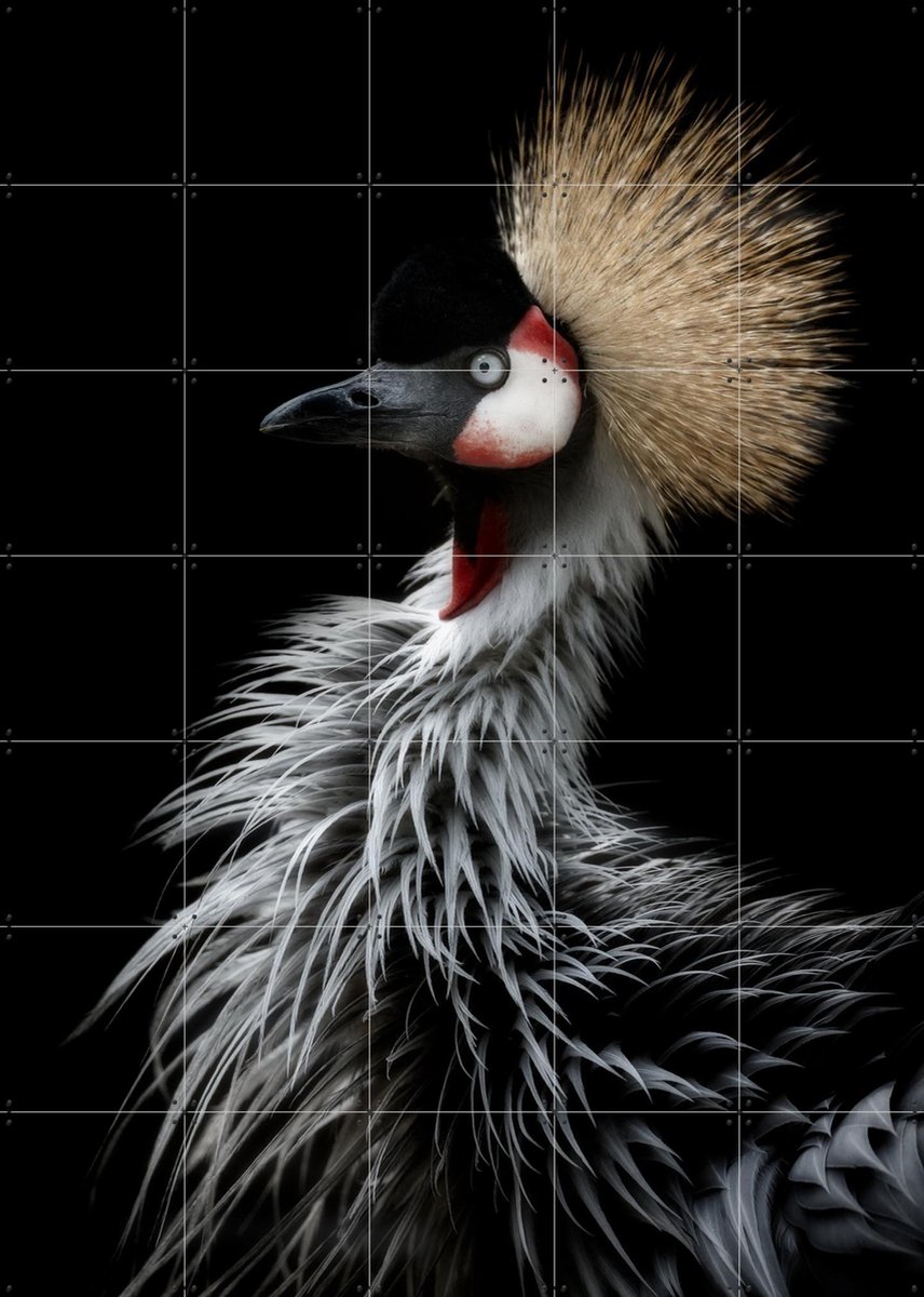 IXXI Crowned Crane's Portrait, Elji Itoyama & Various - 100 x 140 cm - Gratis ophangtool - Grote wanddecoratie en posters - Fotografie, Portretten