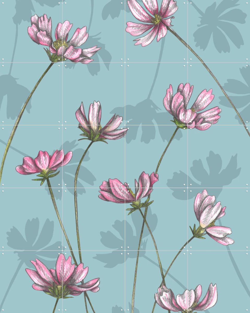 IXXI Cosmos, Cecilia Battaini - 80 x 100 cm - Gratis ophangtool - Grote wanddecoratie en posters - Naturalisme, Illustraties, Eetkamer, Slaapkamer