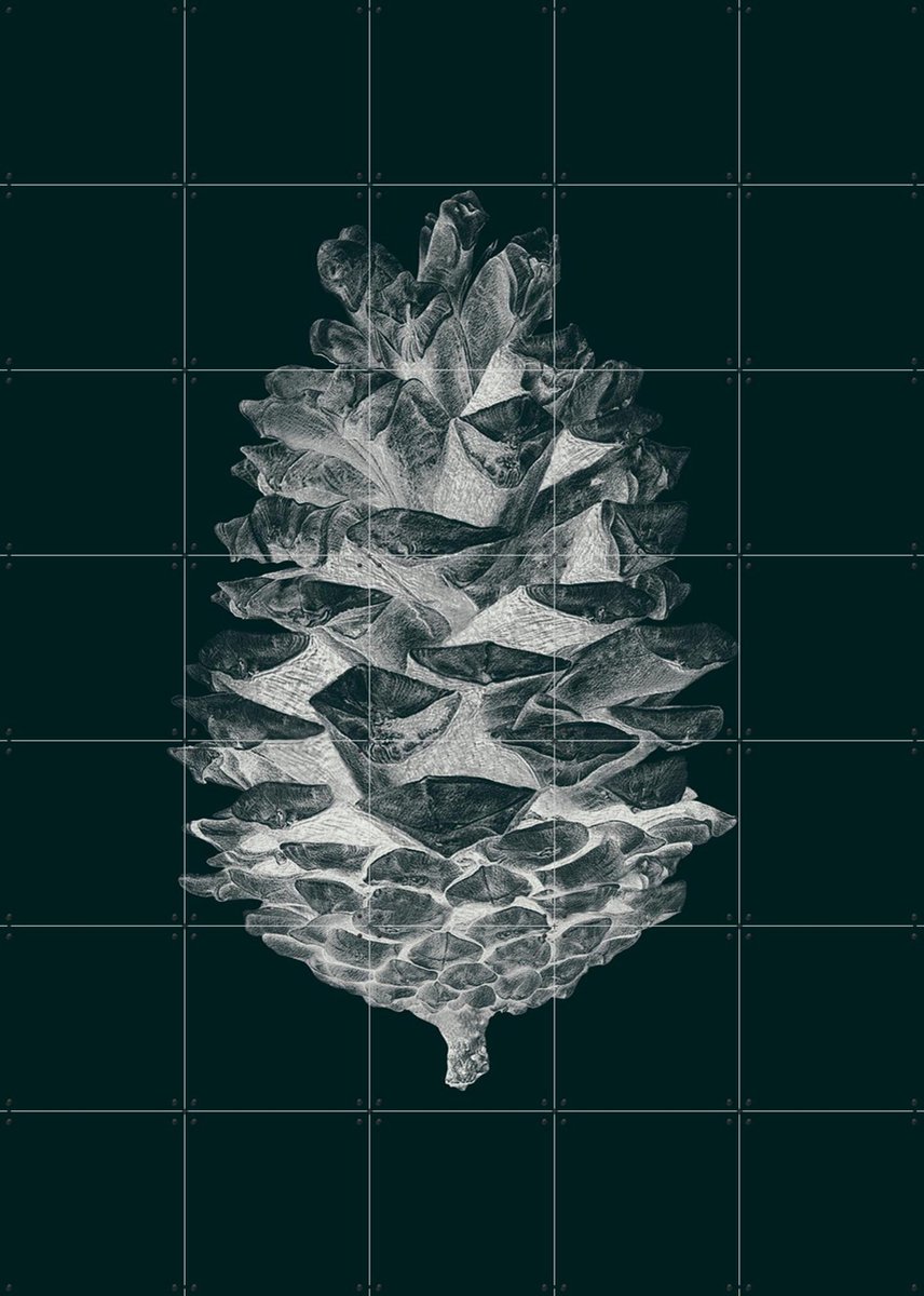 IXXI Pine Cone dark, IXXI - 100 x 140 cm - Gratis ophangtool - Grote wanddecoratie en posters - Fotografie, Illustraties, Minimalisme, Woonkamer