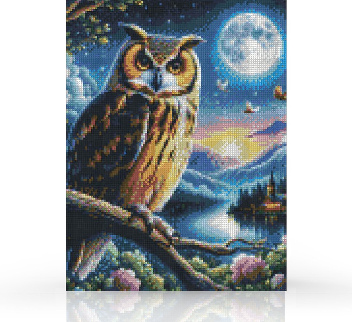 Rubye® Diamond Painting Volwassenen & Kinderen - Pakket Volledig - Nachtuil - 30x40cm