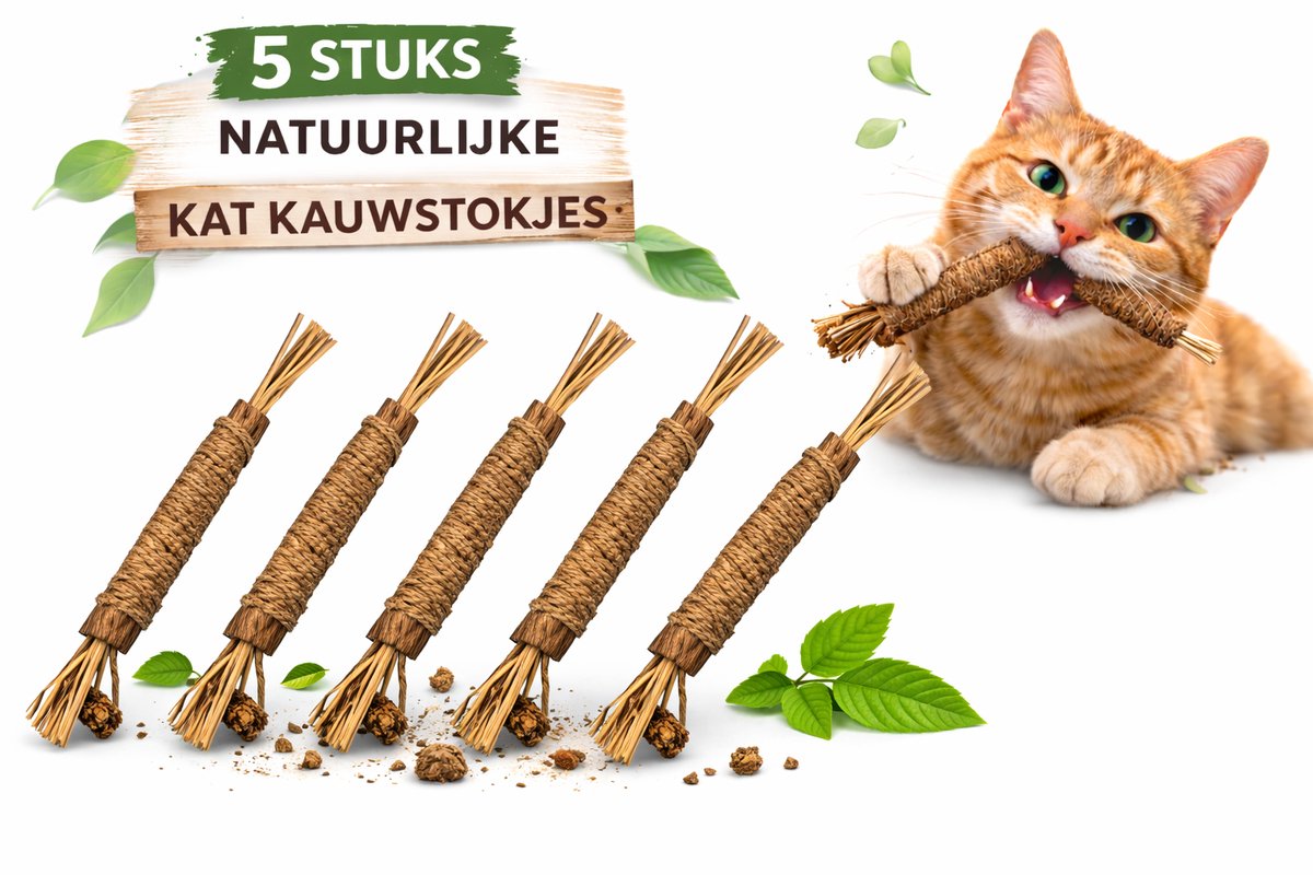 5 Stuks Natuurlijke Kauwstokjes voor Katten – Catnip Speelgoed – Gebitsverzorging, Frisse Adem & Kattenspeeltje voor Kitten en Kat